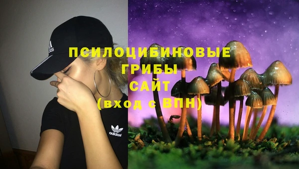 mdpv Арсеньев