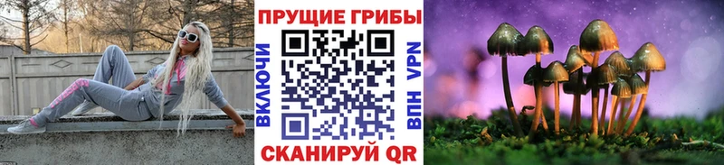 Псилоцибиновые грибы Psilocybine cubensis  наркота  hydra как зайти  Сланцы 