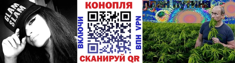 купить наркотик  Сланцы  Марихуана SATIVA & INDICA 